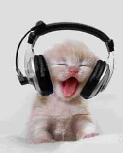 DJ Avatar